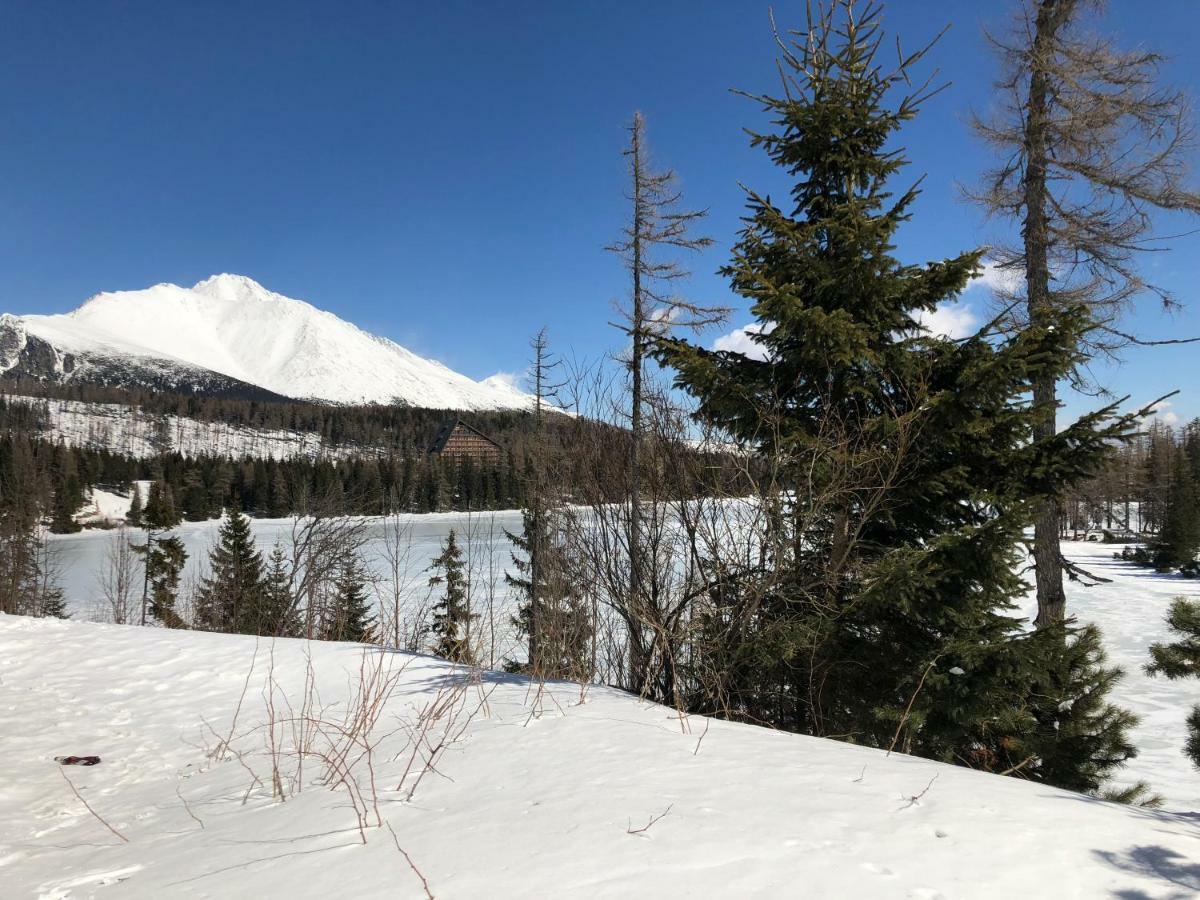 Vila Horec, Vysne Hagy Vysoke Tatry Exterior photo