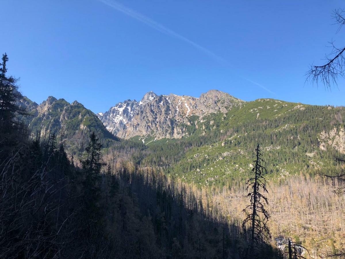 Vila Horec, Vysne Hagy Vysoke Tatry Exterior photo